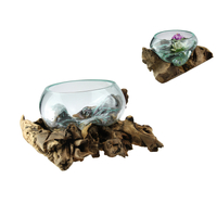 Moulded Glass Bowl Set on Driftwood 40x38cm Rustic Coastal Designer