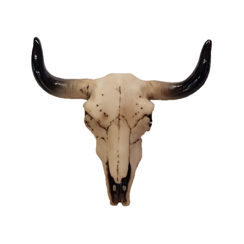 15cm Cow Skull Resin Wall Art Hanging Smooth Horns