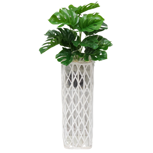 Monstera Plant & White Wicker Planter Stand Pot Holder 65cm Display Set