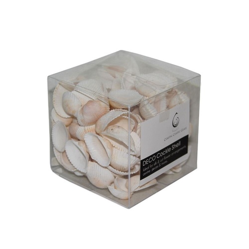 280g of Coccle Shells in a PVC Box craft/decor table centres weddings beach